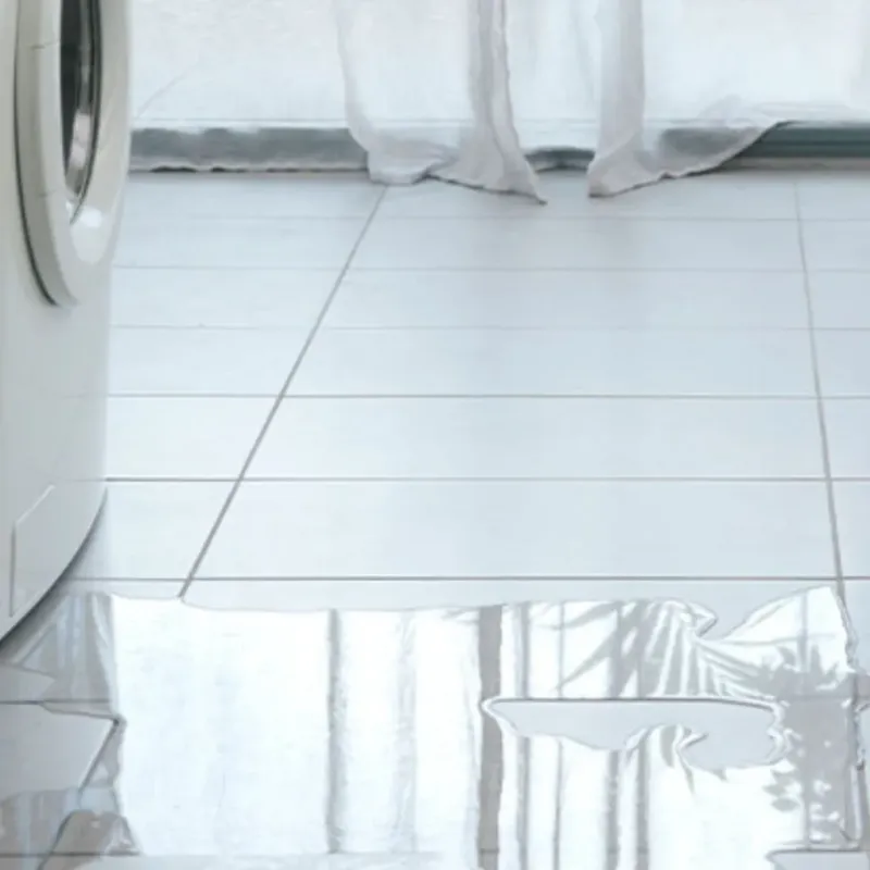 Appliance Leak Cleanup in Sangerville, ME