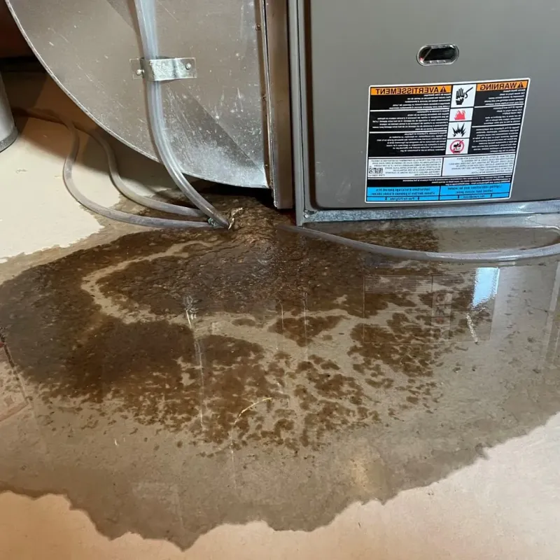 Pipe Burst and Leak Restoration in Sangerville, ME